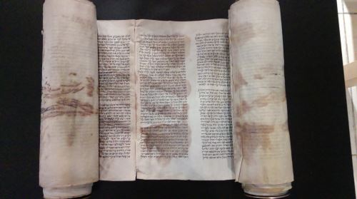 The blood-stained, miniature deerskin Torah scroll discovered in Vienna by an Israeli journalist.