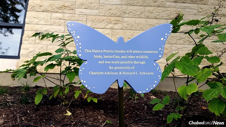 Chabad Garden Outside Chicago Protects An Endangered Species A