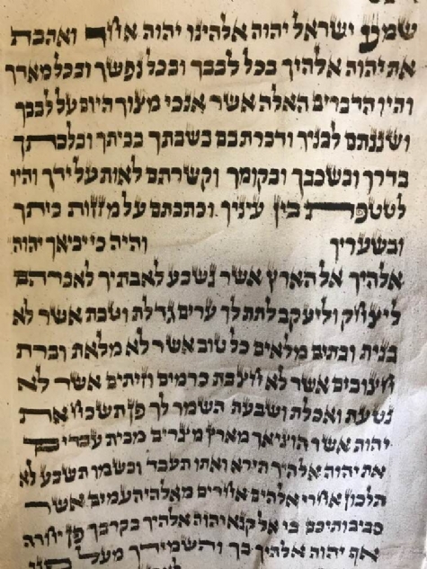 Torah3.jpg