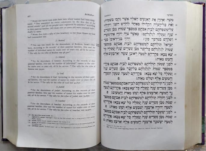The Living Torah provides a translation that is accessible to the beginner and enlightening to the accomplished scholar.