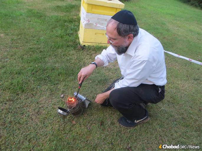 The rabbi uses smoke to calm honey bees before opening a hive. (Photo: Carin M. Smilk)