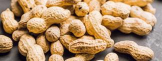 Are Peanuts Kosher for Passover?